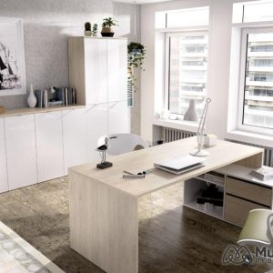 ARMARIO BAJO 2 PUERTAS ROX BLANCO – ROBLE NATURAL