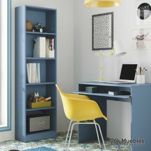 Escritorio y estantería